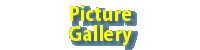 Picture Gallery